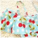 zhxinashu Lovely Girls Summer Bathing Suit Infant Girls Cute Swimwear 2 Pieces Bikini Set Light Blue B07CKM99LG